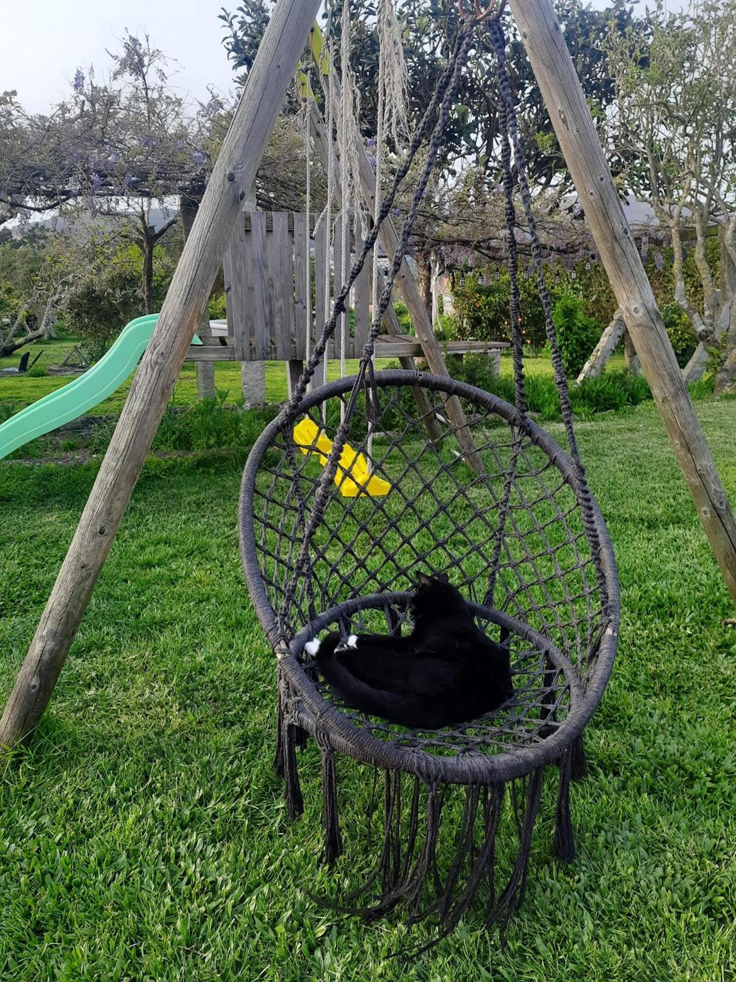 Hébergement de vacances Casinha Nº461