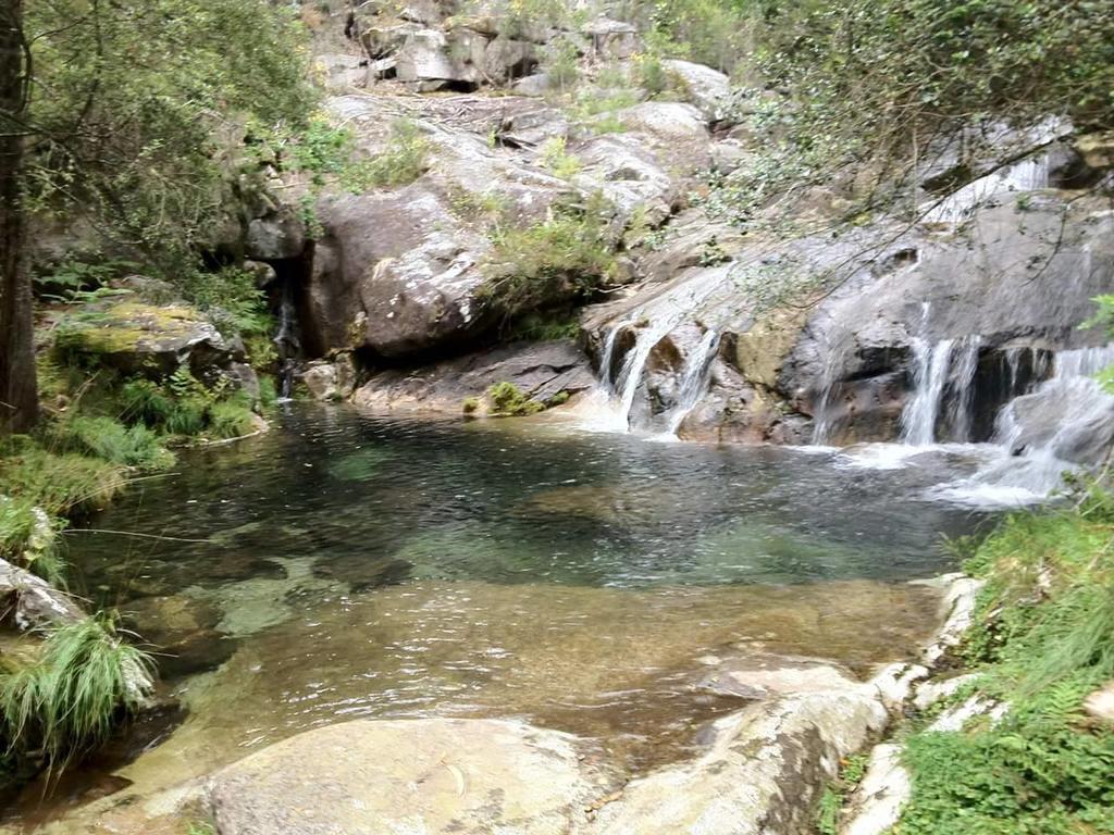 Casinha Nº461 Hébergement de vacances Vila Praia de Âncora